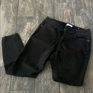 Ann Taylor Loft Jeans